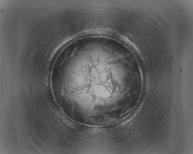 X0000082731166200702091830