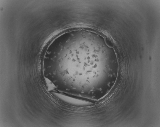 X0000082731167200702091830