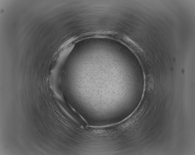 X0000082731169200702091830