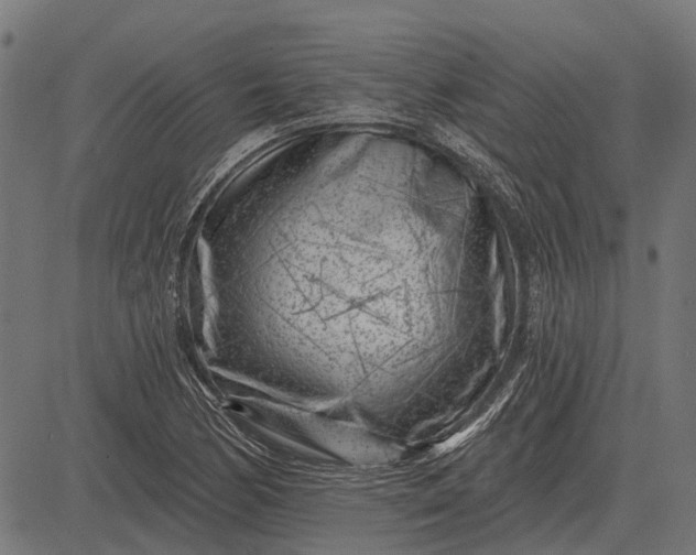 X0000082731170200702091830