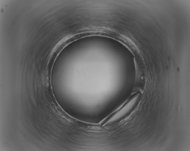 X0000082731172200702091830