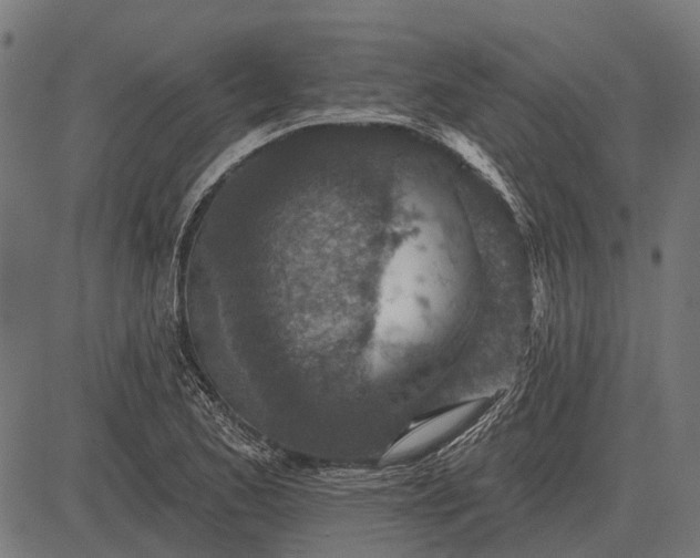 X0000082731173200702091830