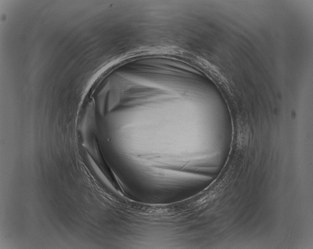 X0000082731174200702091830