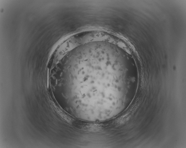 X0000082731175200702091830