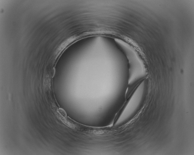 X0000082731177200702091830