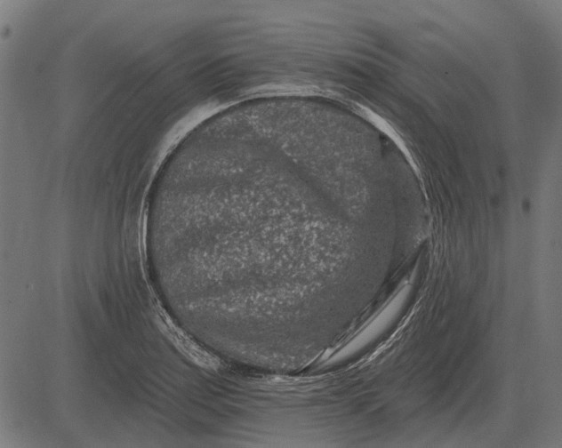 X0000082731179200702091830