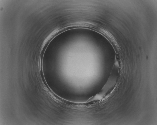 X0000082731180200702091830