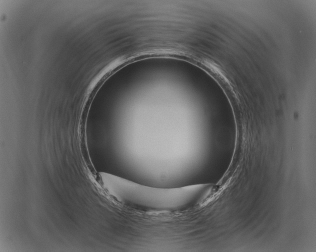 X0000082731181200702091830