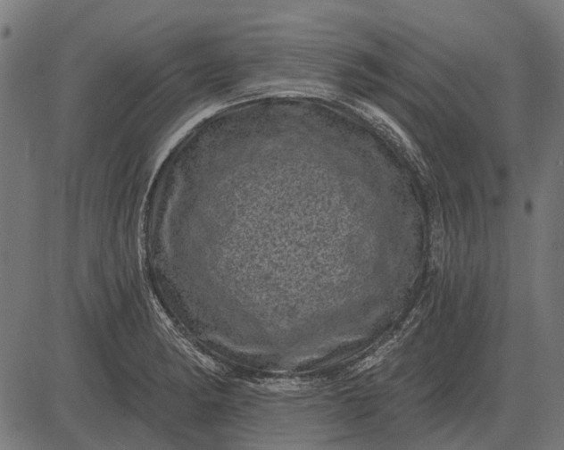 X0000082731182200702091830