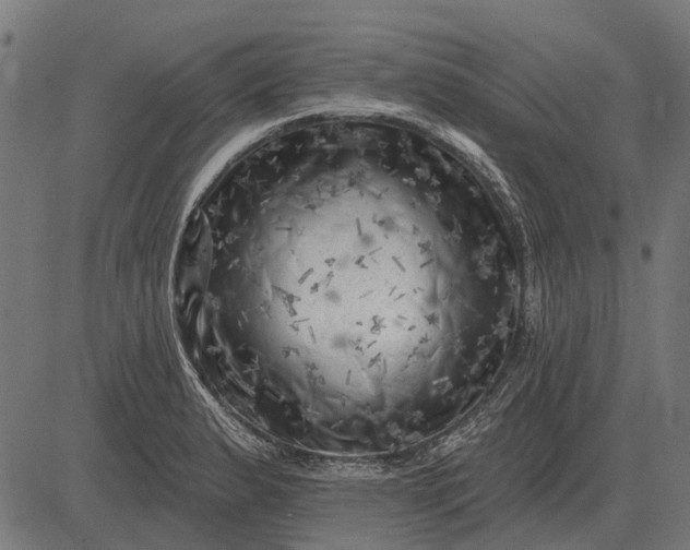 X0000082731183200702091830