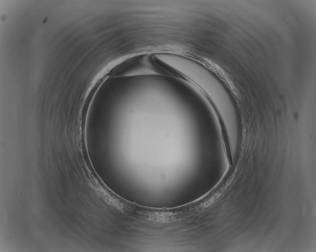 X0000082731184200702091830