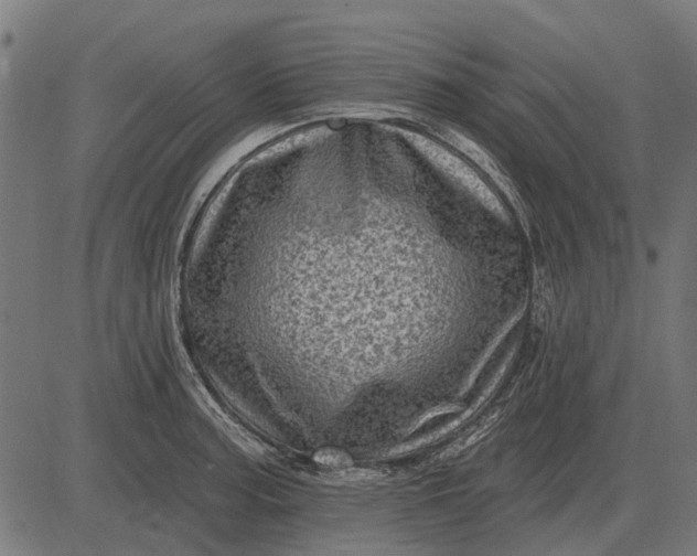 X0000082731187200702091830