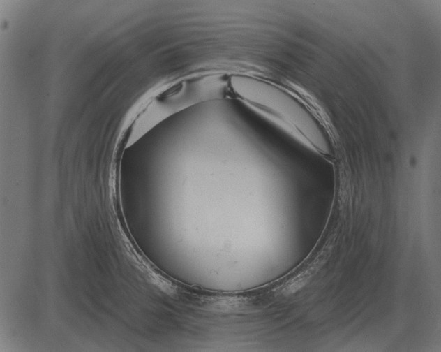 X0000082731188200702091830