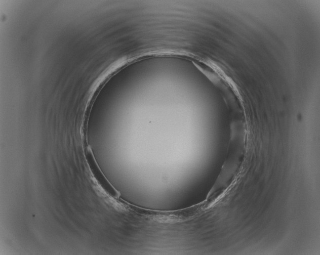 X0000082731189200702091830