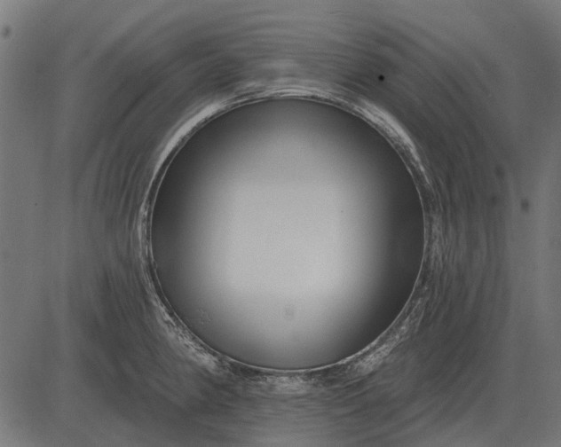 X0000082731190200702091830