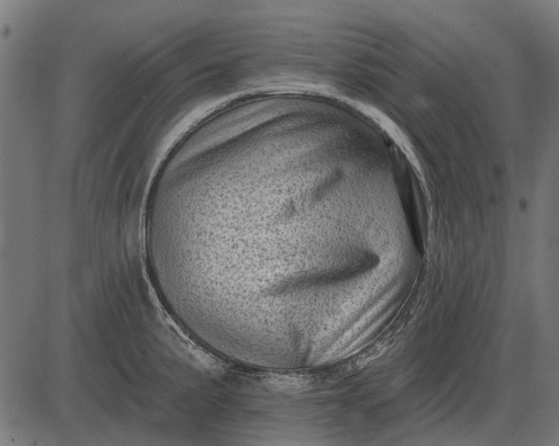 X0000082731191200702091830