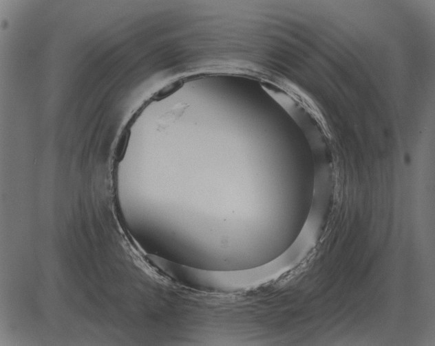 X0000082731192200702091830