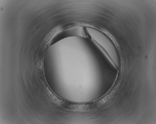 X0000082731193200702091830