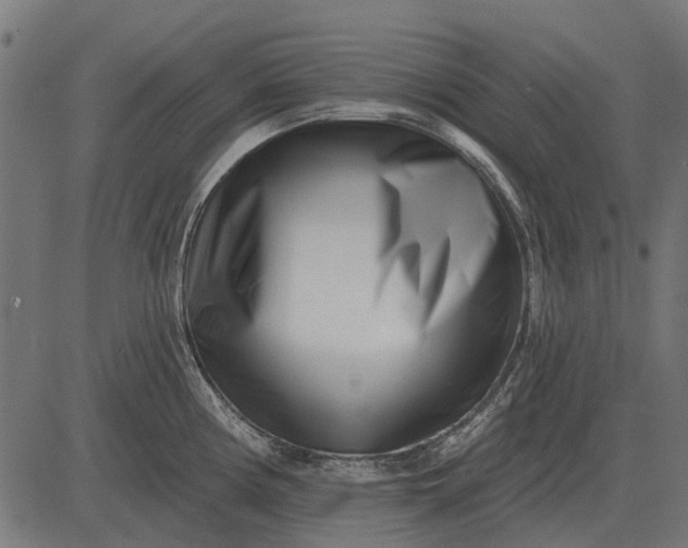 X0000082731194200702091830