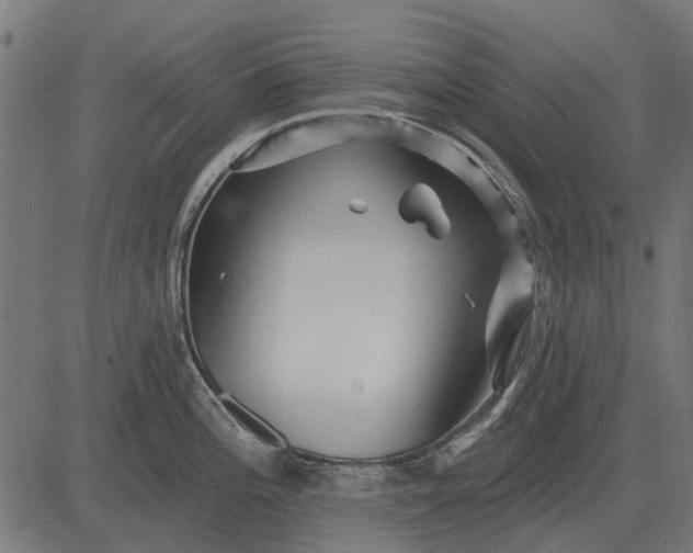 X0000082731196200702091830