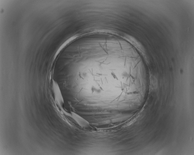 X0000082731198200702091830