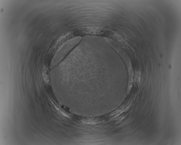 X0000082731202200702091829