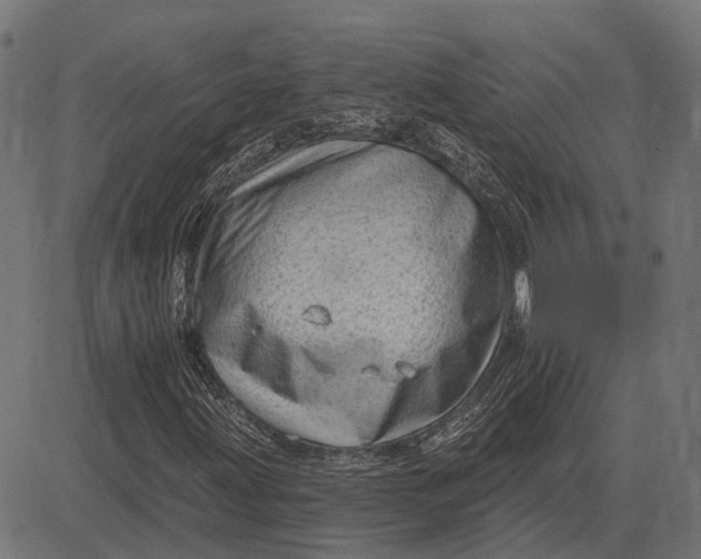 X0000082731203200702091829