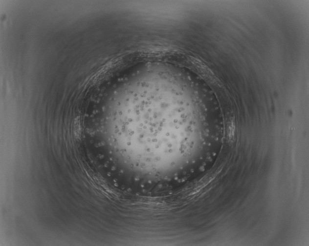 X0000082731204200702091829