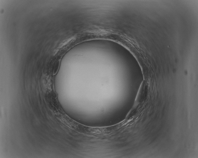 X0000082731205200702091829