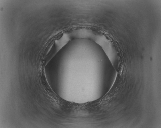 X0000082731206200702091829