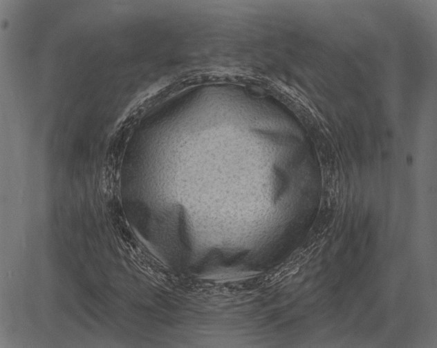 X0000082731207200702091829