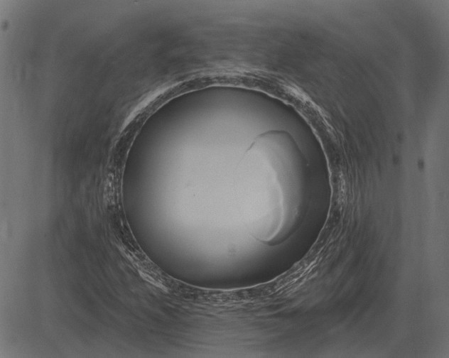 X0000082731208200702091829