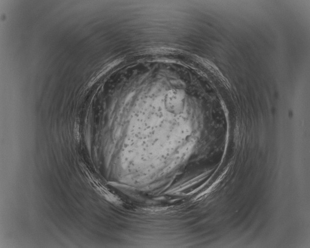 X0000082731209200702091829