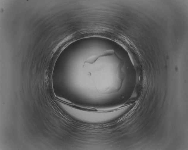 X0000082731210200702091829