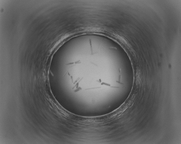 X0000082731212200702091829