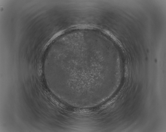 X0000082731213200702091829