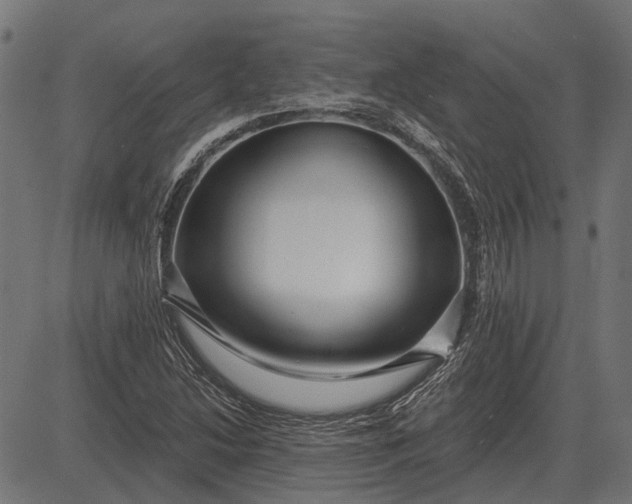 X0000082731214200702091829