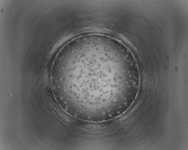 X0000082731215200702091829