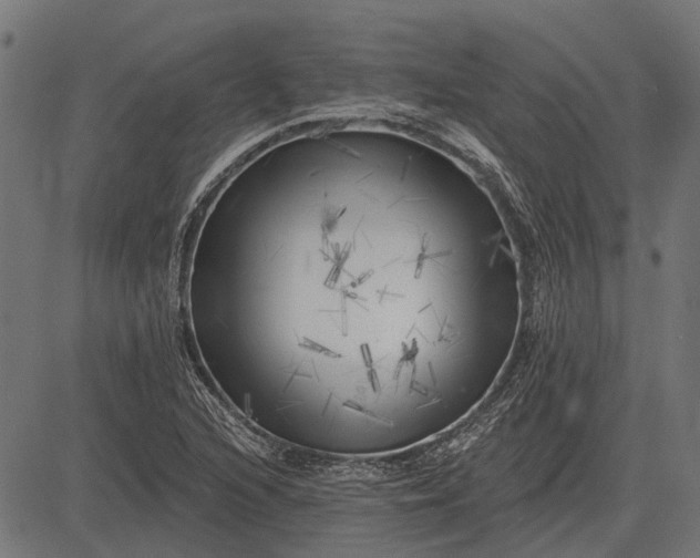 X0000082731216200702091829