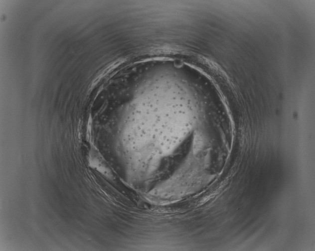 X0000082731217200702091829