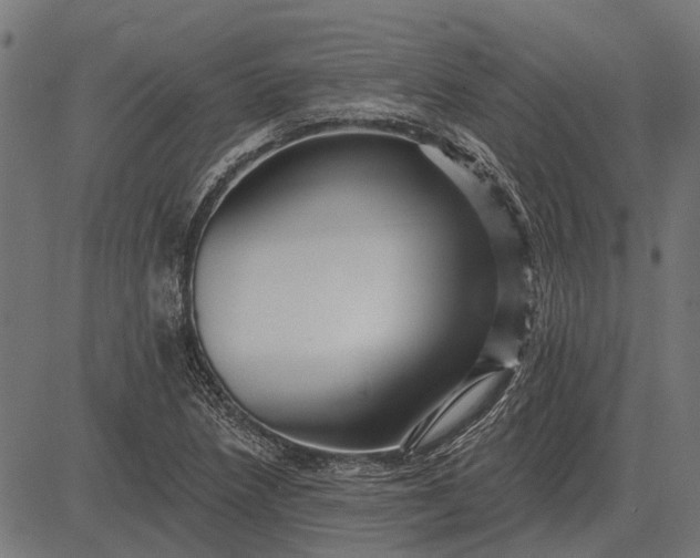 X0000082731218200702091829