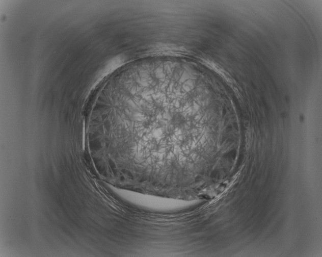 X0000082731219200702091829