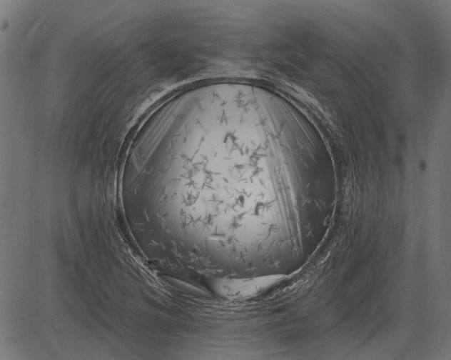 X0000082731220200702091829