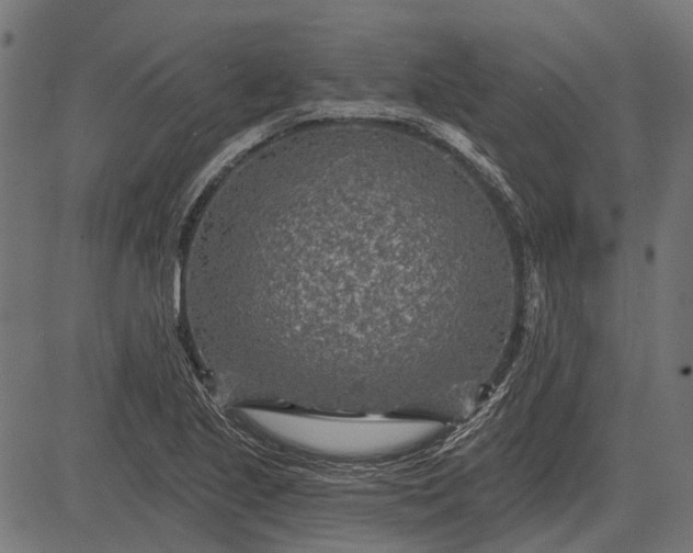 X0000082731221200702091829