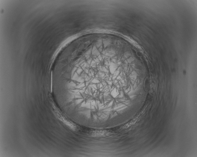 X0000082731223200702091829