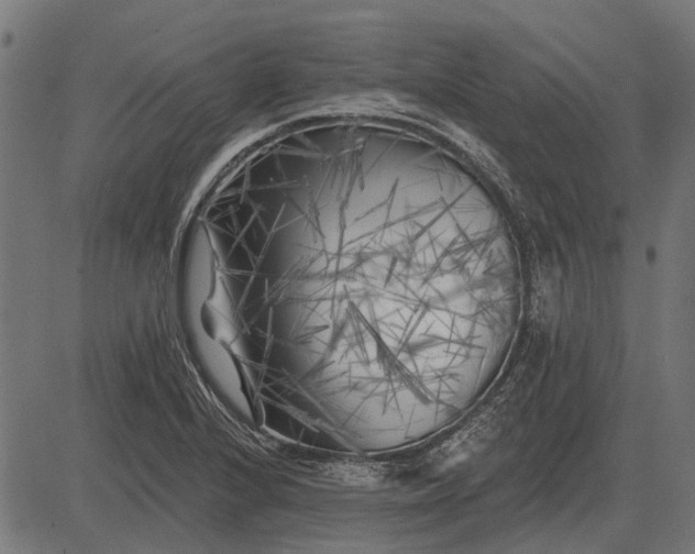 X0000082731224200702091829