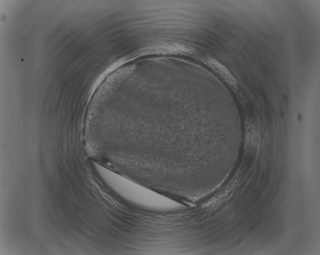 X0000082731226200702091829