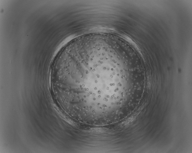 X0000082731227200702091829