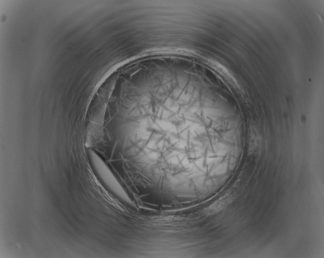 X0000082731228200702091829