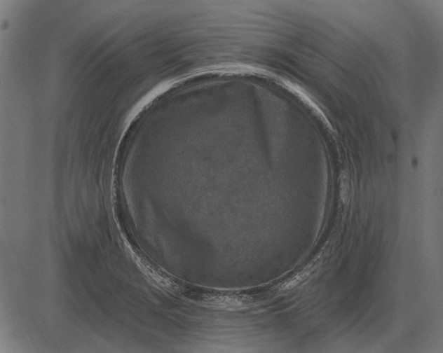 X0000082731229200702091829